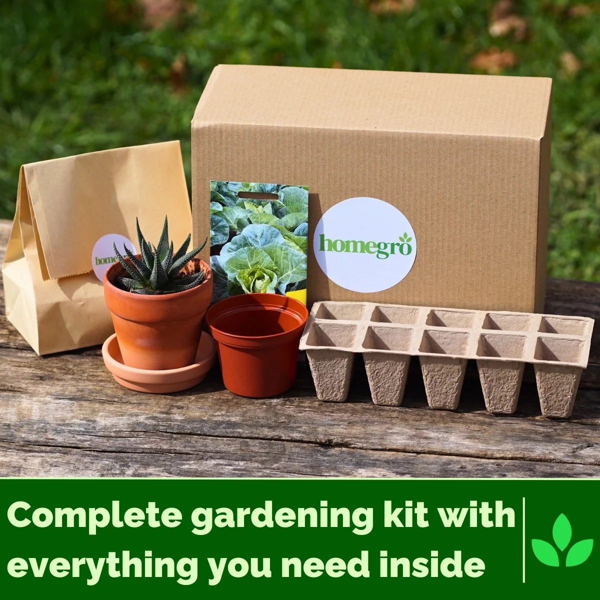 Homegro Gro Box image with caption stating 'FREE Deliveries'