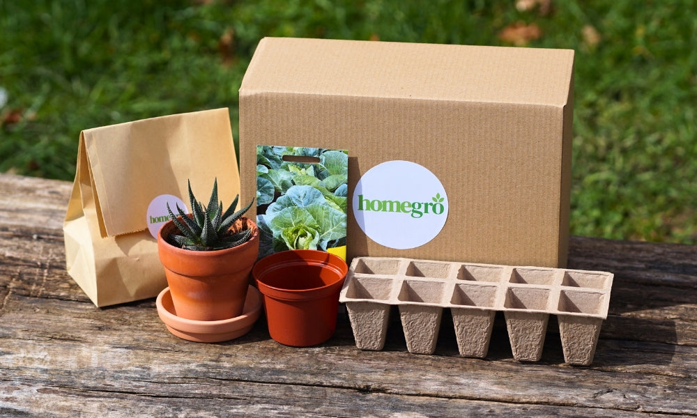 A Homegro Gro Box with all the items included placed around the box.