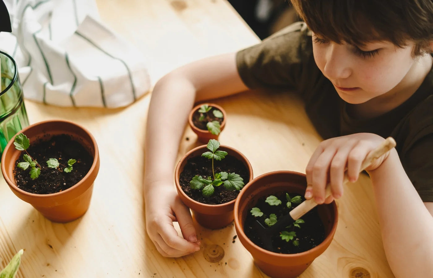 Boy looking at his houseplants