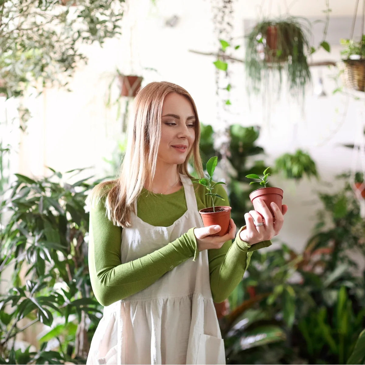 Women holding and looking at two Homegro houseplants