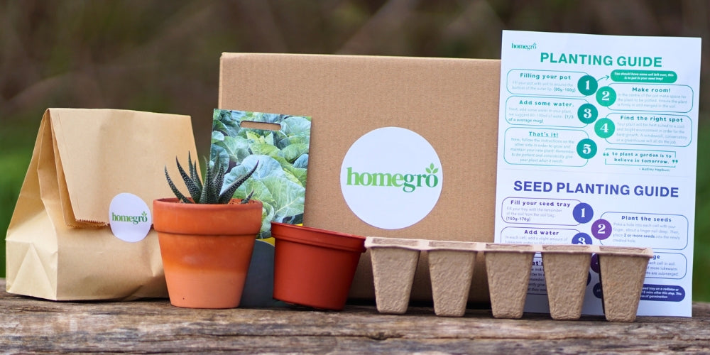 Image of complete Homegro Gro Box