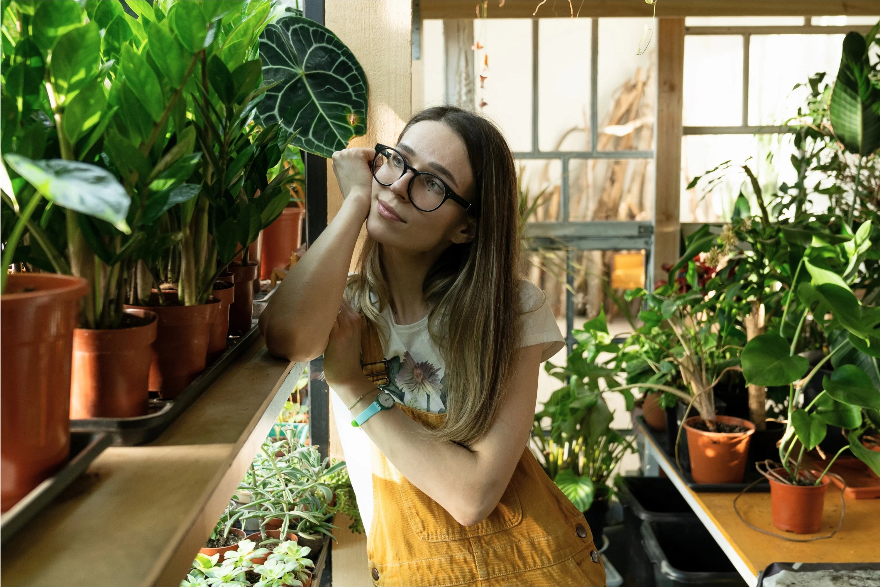 Women admiring her Homegro houseplants in her home