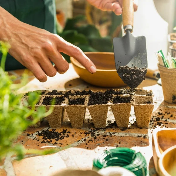 Homegro Seed Tray with small shovel