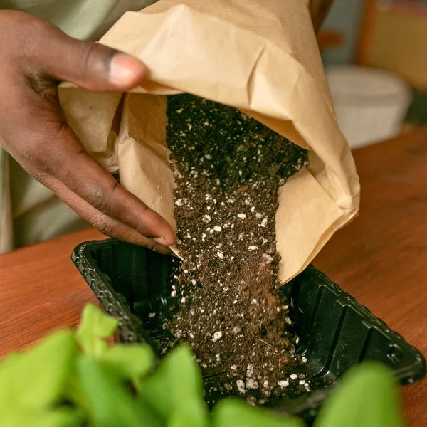 Someone holding Homegro soil 