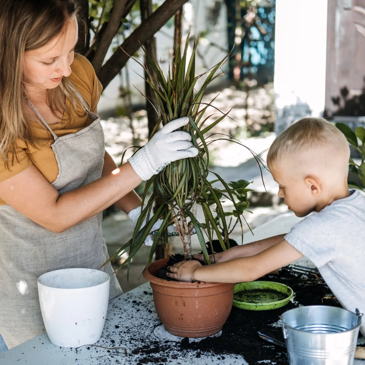 Mom and son interacting with their houseplant