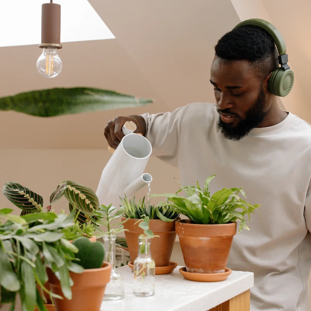 Man watering his houseplants in his home