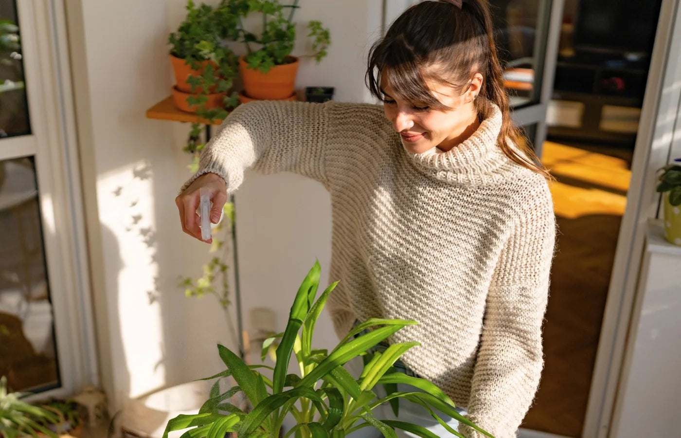 Women spraying her houseplant